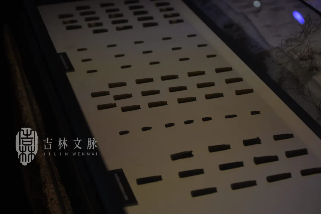 007.webp.png 007.webp.png