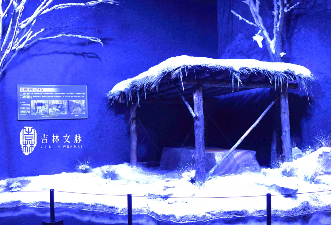 010.webp.png 010.webp.png