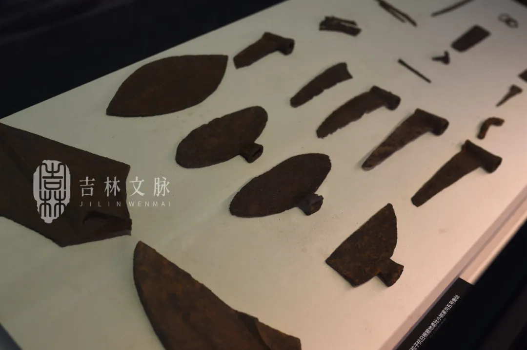 011.webp.png 011.webp.png