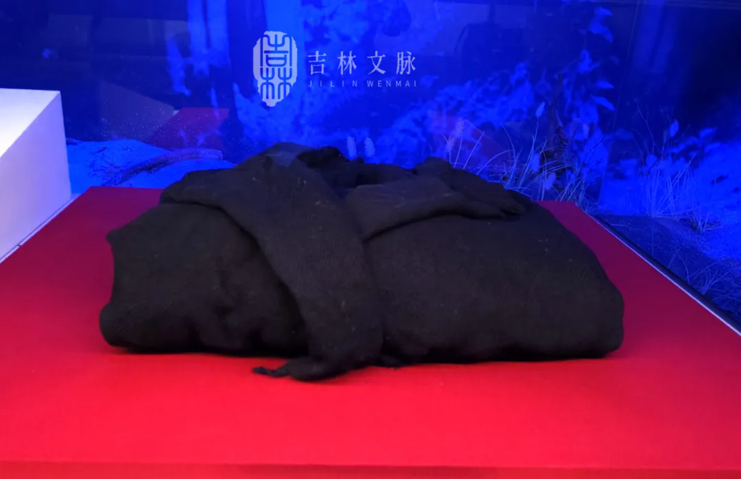 016.webp.png 016.webp.png