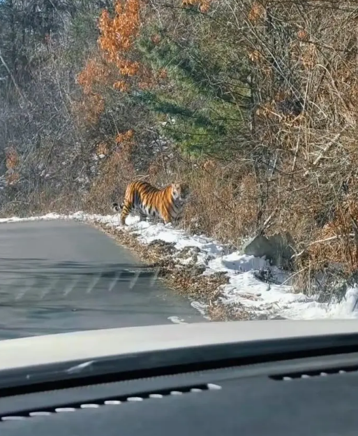 QQ20251212-135930.png QQ20251212-135930.png