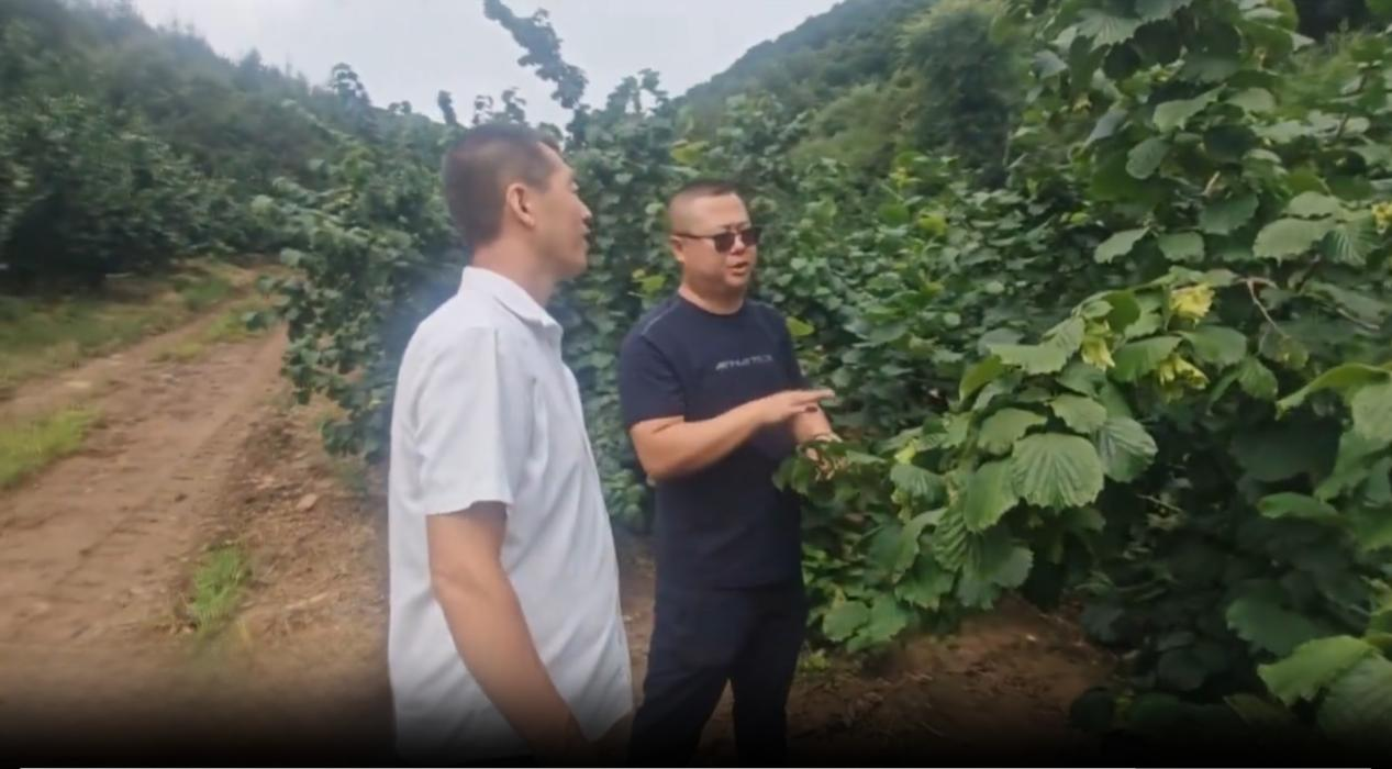 图片24.png 图片24.png