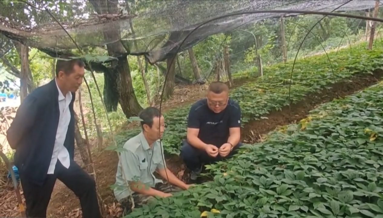 图片25.png 图片25.png