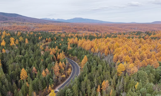 354f3f7127b86177184321115747682110.png 354f3f7127b86177184321115747682110.png