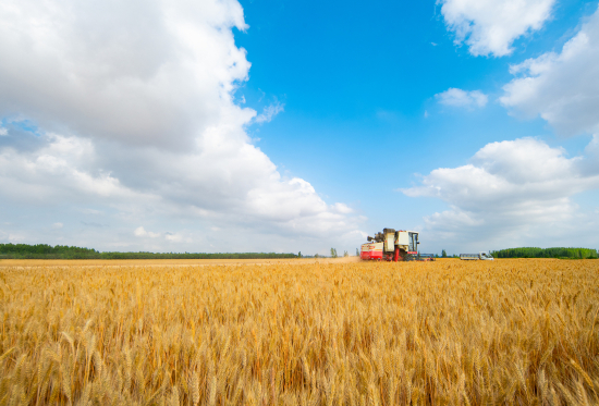 6bed060494ba8177192684159550571110.jpg 6bed060494ba8177192684159550571110.jpg