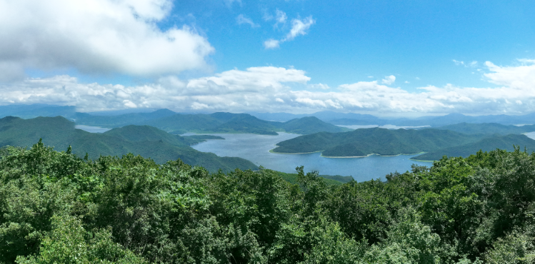 QQ20260807-071151.jpg