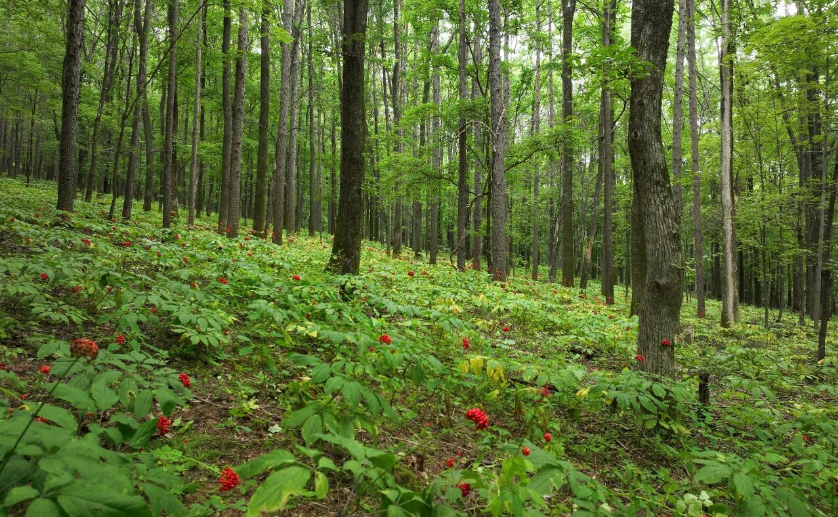 QQ20260807-071246.jpg