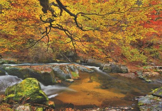 ScreenShot_2026-09-25_164305_943.png ScreenShot_2026-09-25_164305_943.png