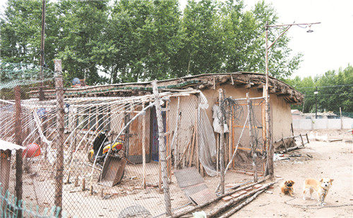 几十年的老房子摇摇欲坠 几十年的老房子摇摇欲坠