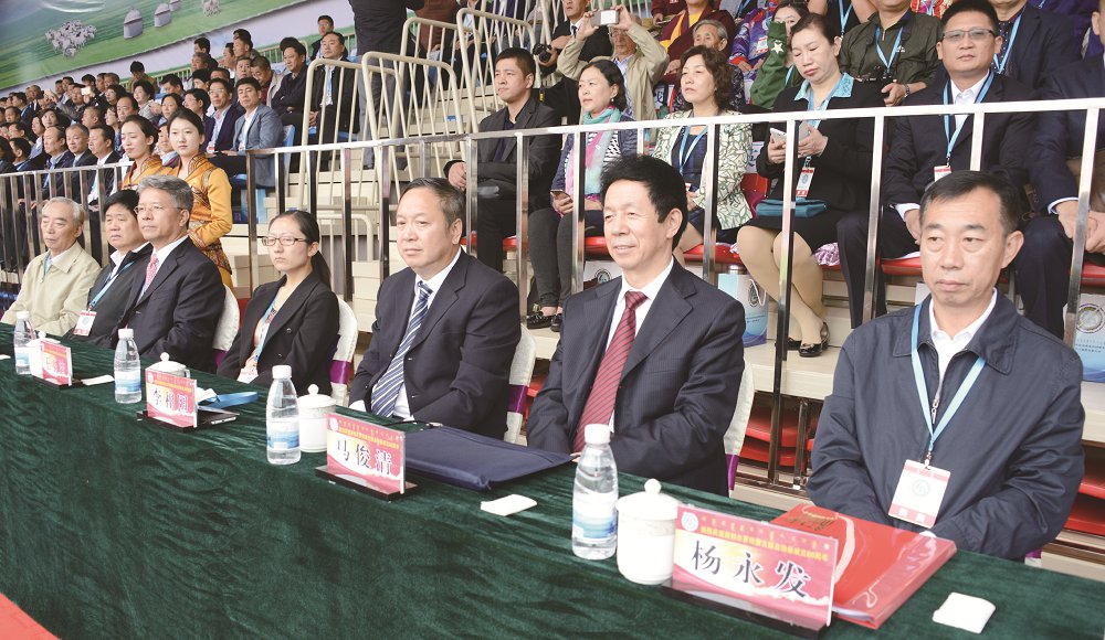 全国人大、国家民委、省市领导在主席台就座。