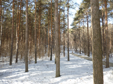 净月潭.png 净月潭.png