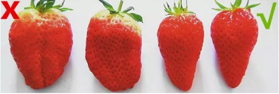 看形状.png 看形状.png