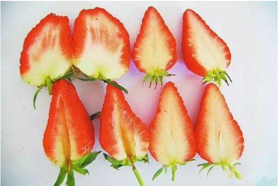 看果肉.png 看果肉.png