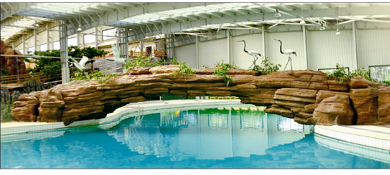 南山温泉.png 南山温泉.png