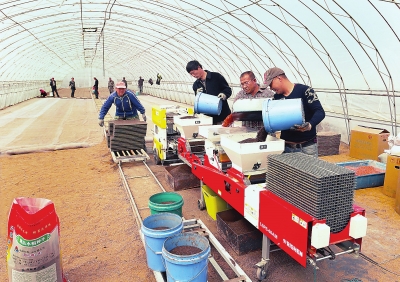 新一代水稻钵苗育秧生产线