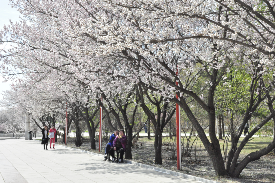 图片2.png 图片2.png