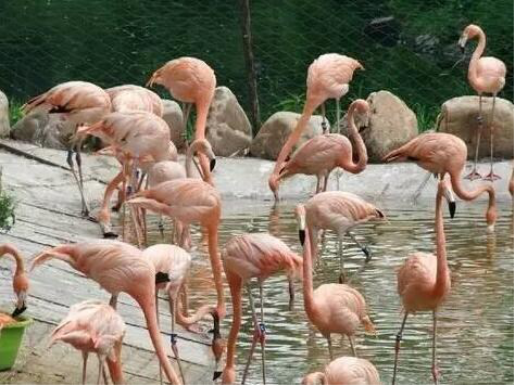 图片5.png 图片5.png