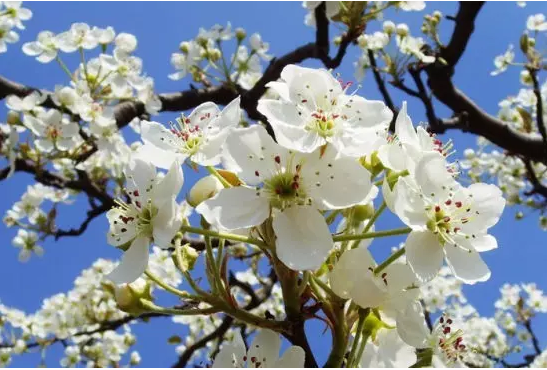 图片7.png 图片7.png