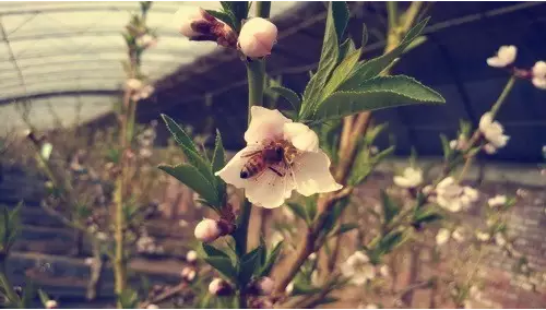 图片8.png 图片8.png