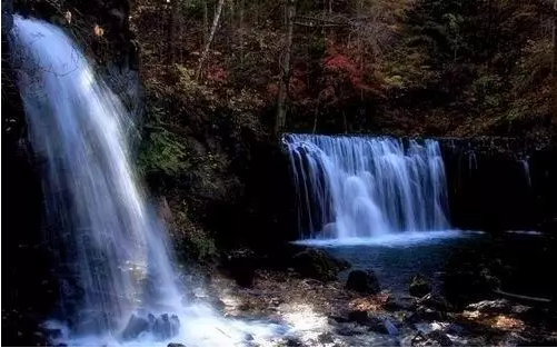 图片9.png 图片9.png