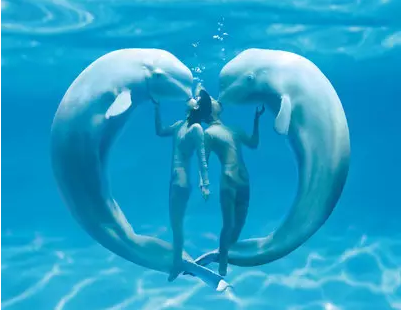 图片18.png 图片18.png