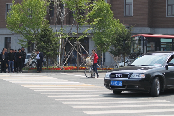 行人闯红灯 行人闯红灯