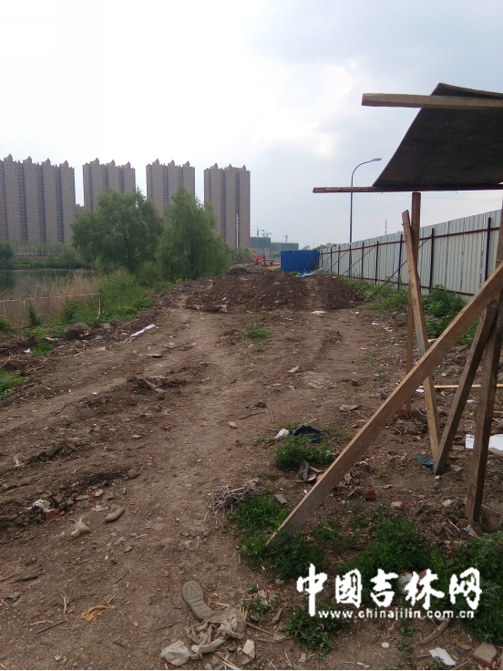 南溪湿地公园效果图 南溪湿地公园效果图