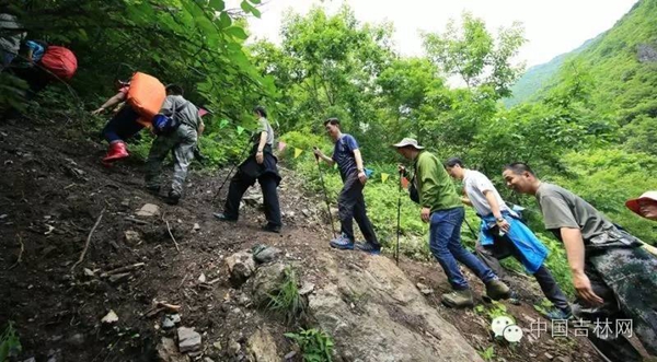 白山长白高山草原露营节 白山长白高山草原露营节
