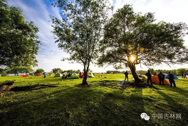 白山长白高山草原露营节 白山长白高山草原露营节