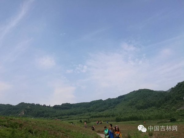 白山长白高山草原露营节 白山长白高山草原露营节