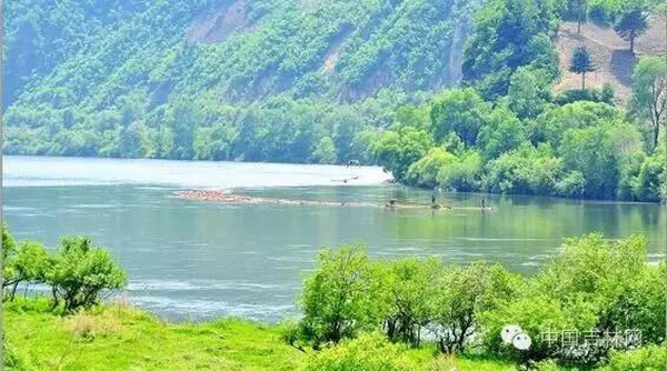 白山长白高山草原露营节 白山长白高山草原露营节