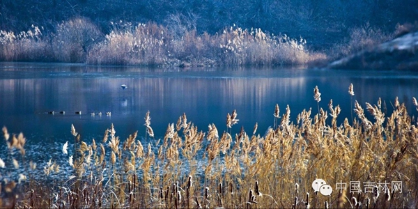 白山长白高山草原露营节 白山长白高山草原露营节