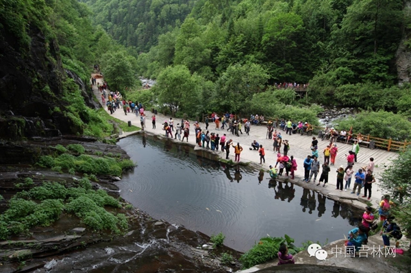 白山长白高山草原露营节 白山长白高山草原露营节