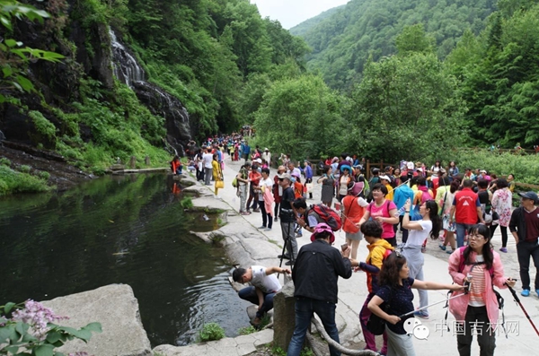 白山长白高山草原露营节 白山长白高山草原露营节