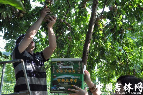 27_副本.png 27_副本.png