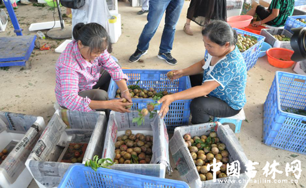 28_副本.png 28_副本.png