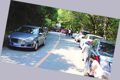 净月潭内机动车很多