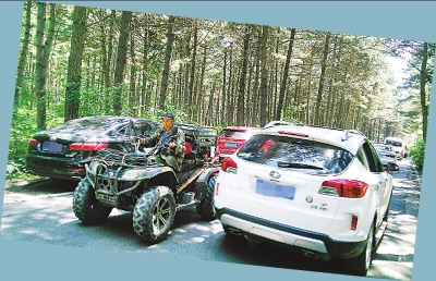 净月潭内机动车很多