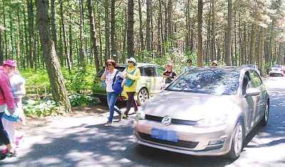 净月潭内机动车很多