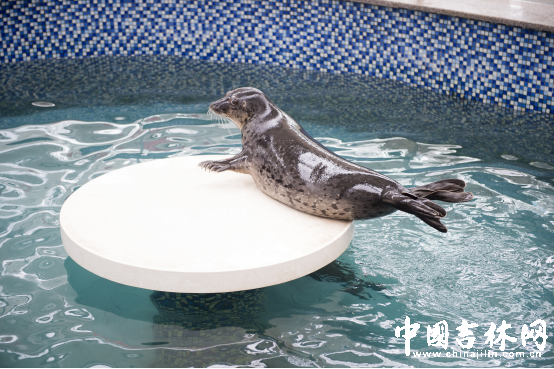 第15届长春农博会8月12日至21日举行 第15届长春农博会8月12日至21日举行