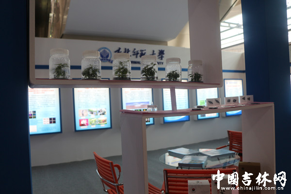 科技成果展览:吉林师范大学成功研发高寒杜鹃花培育技术.jpg 科技成果展览:吉林师范大学成功研发高寒杜鹃花培育技术.jpg