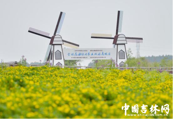 吉林金珠花海休闲农业旅游度假区 吉林金珠花海休闲农业旅游度假区