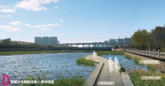 方案D的设计效果图