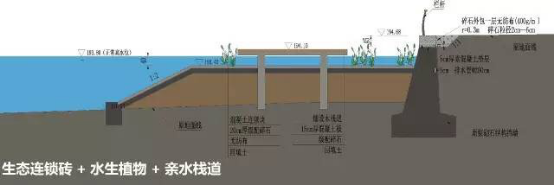 　方案D的剖面示意图