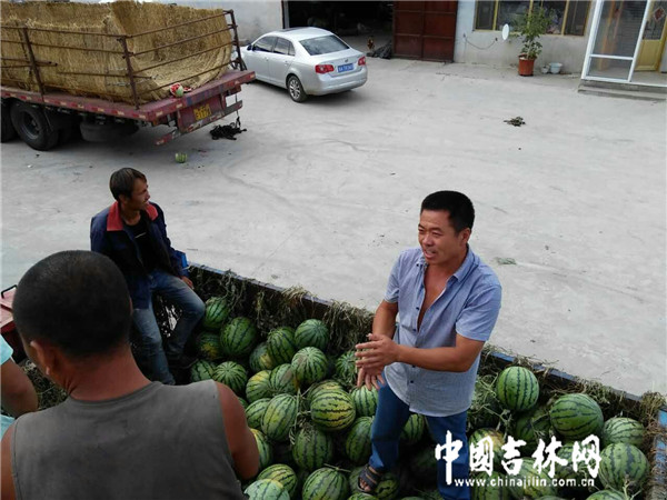西瓜装车.jpg