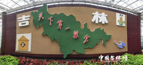 长春农博园的“创意课”