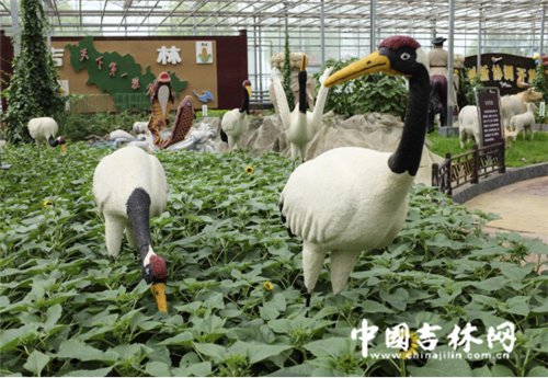 长春农博园的“创意课”