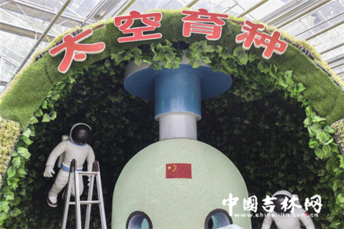 长春农博园的“创意课”