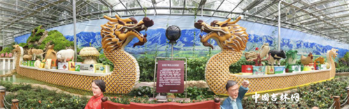 长春农博园的“创意课”