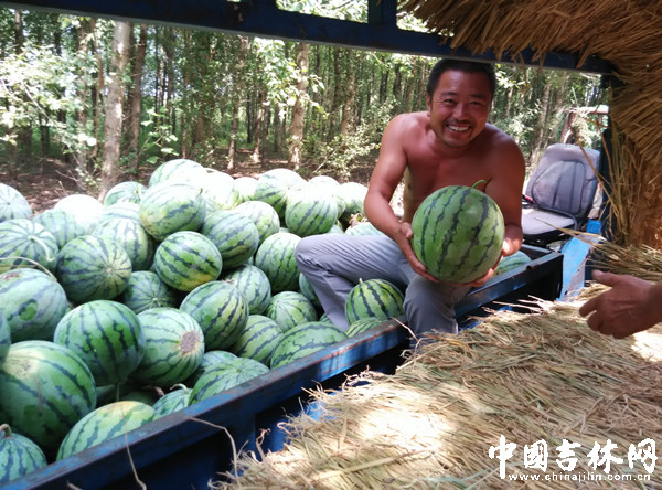 装瓜笑哈哈 装瓜笑哈哈